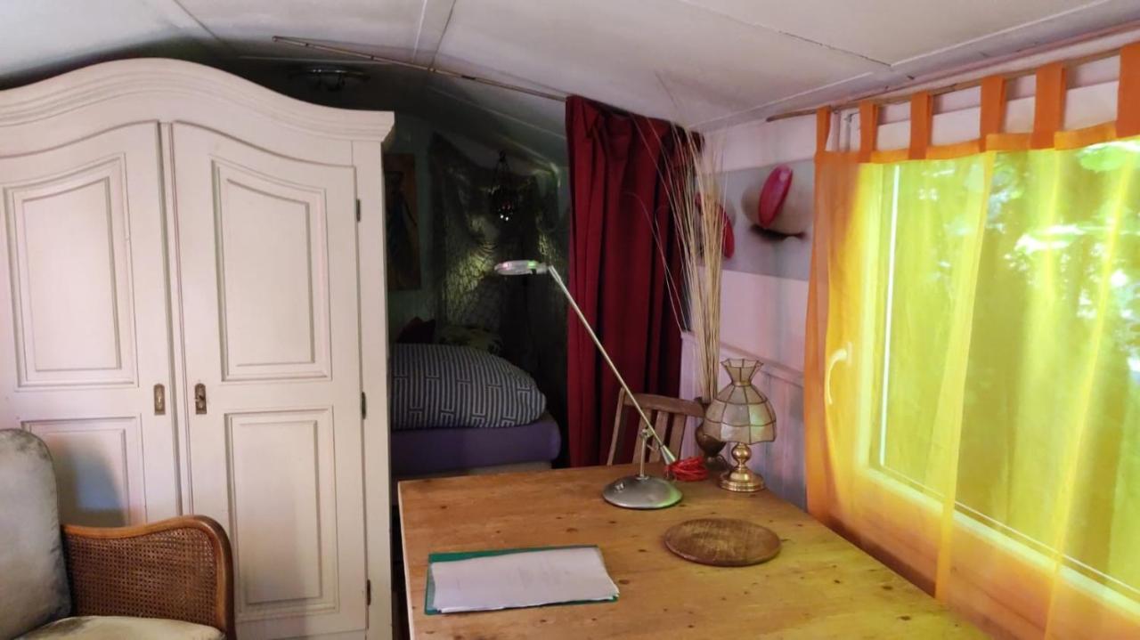 Trailer - Dschungel Lodge كُبس المظهر الخارجي الصورة